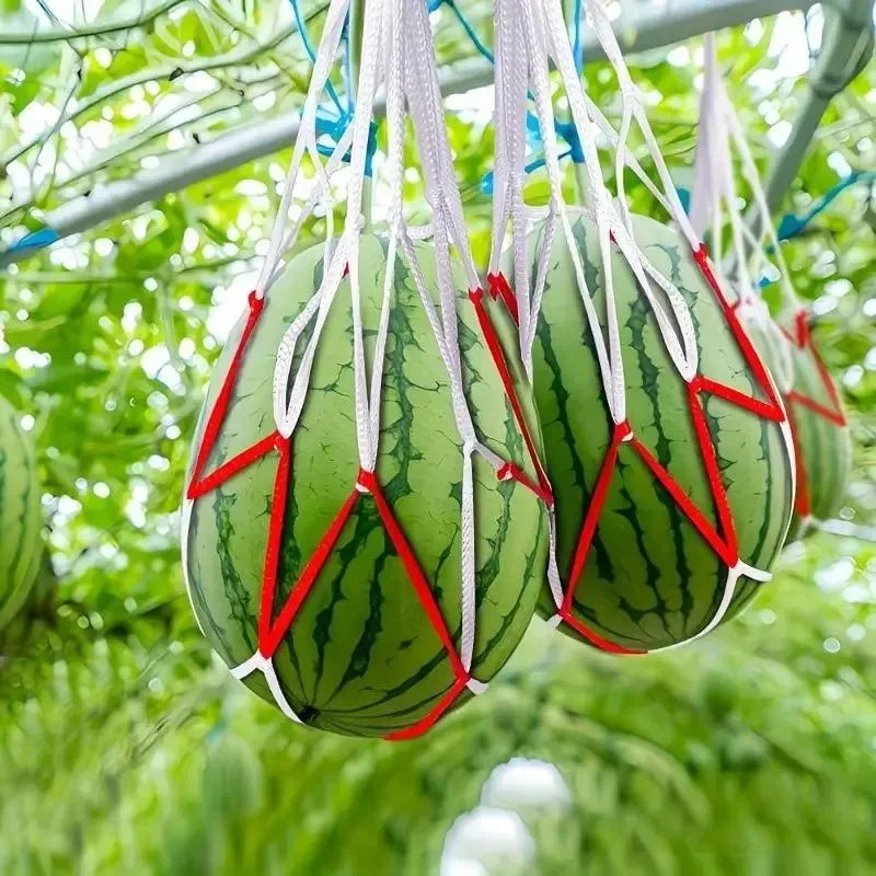 Watermelon Mesh Bag Hammock Reusable Melon Hanging Net Bag Fruit Harvest Trellis Hammock For Watermelon Pumpkin Cantaloupe