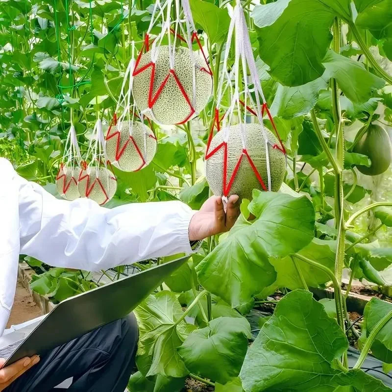 Watermelon Mesh Bag Hammock Reusable Melon Hanging Net Bag Fruit Harvest Trellis Hammock For Watermelon Pumpkin Cantaloupe