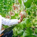 Watermelon Mesh Bag Hammock Reusable Melon Hanging Net Bag Fruit Harvest Trellis Hammock For Watermelon Pumpkin Cantaloupe