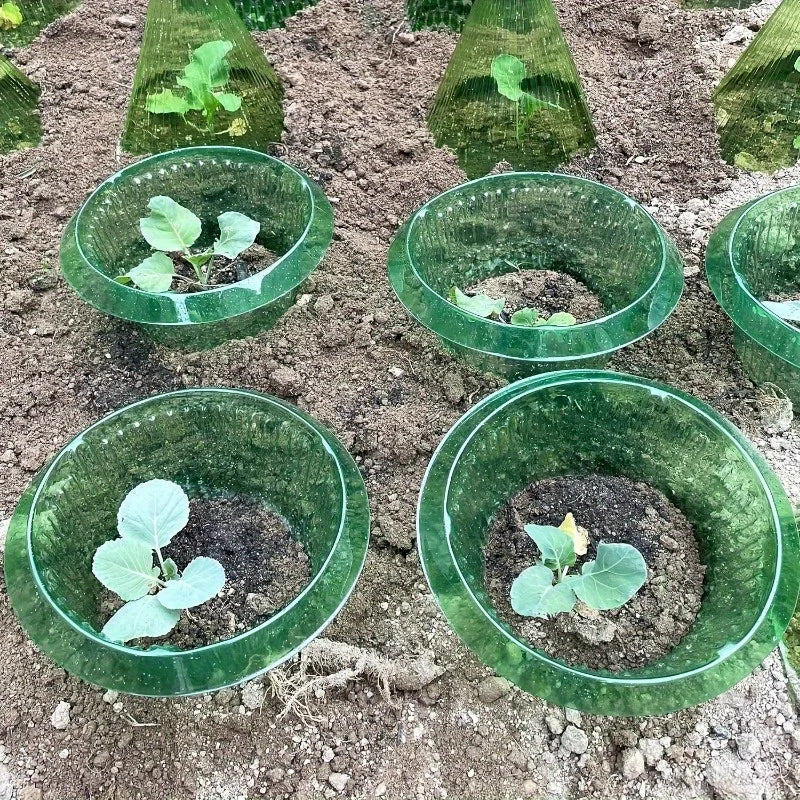 Plants Slug Protection Rings Vegetables Cover Plant Snail Collar Guard Green Planter Flower Pot Pest Control Trapper Garden Tool