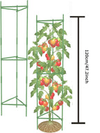Metal Tomato Cage, Up to 129.5 cm (51 in)