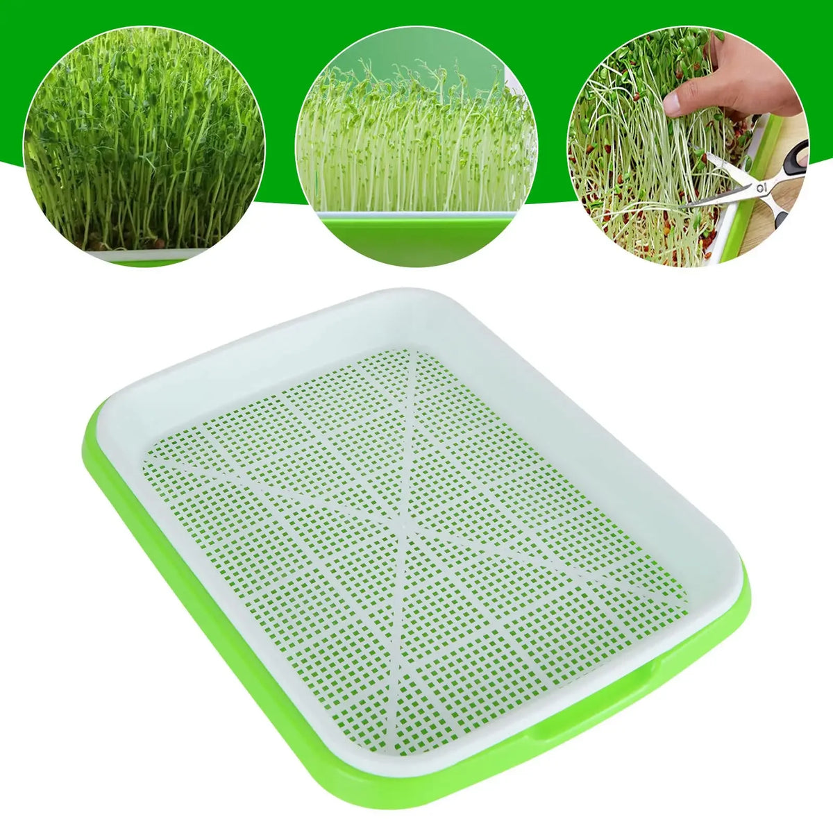 Microgreens Sprouter Tray Hydroponic/Sprouting Tray For Sprout Horticultural Hydroponic Systems Tray Garden Nursery Potted