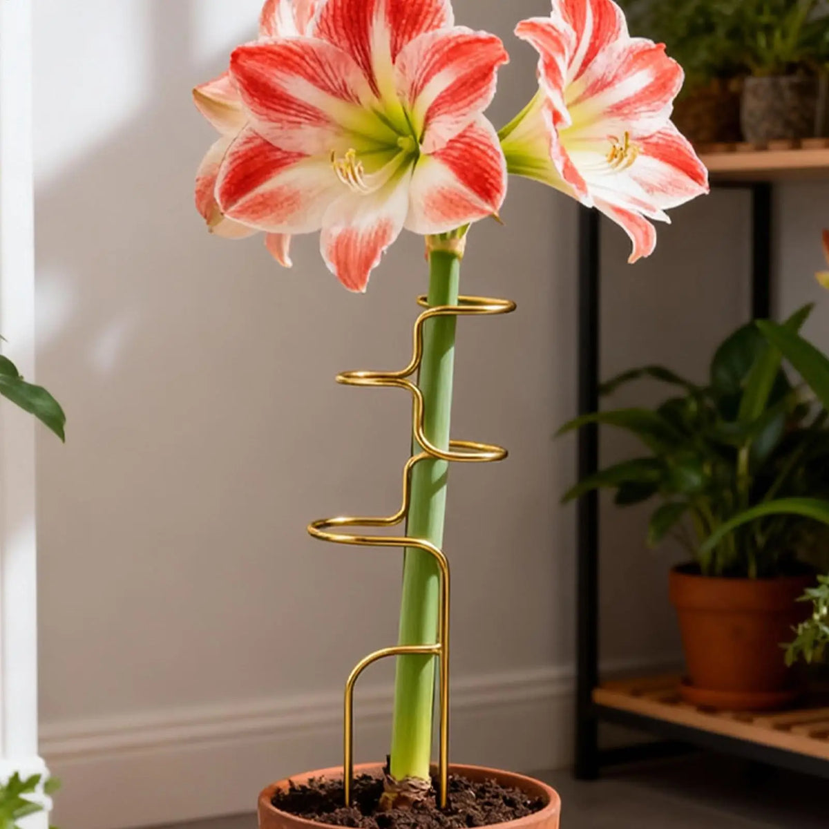 Metal Monstera Plant Support Stake, 32 cm (12.6 in)