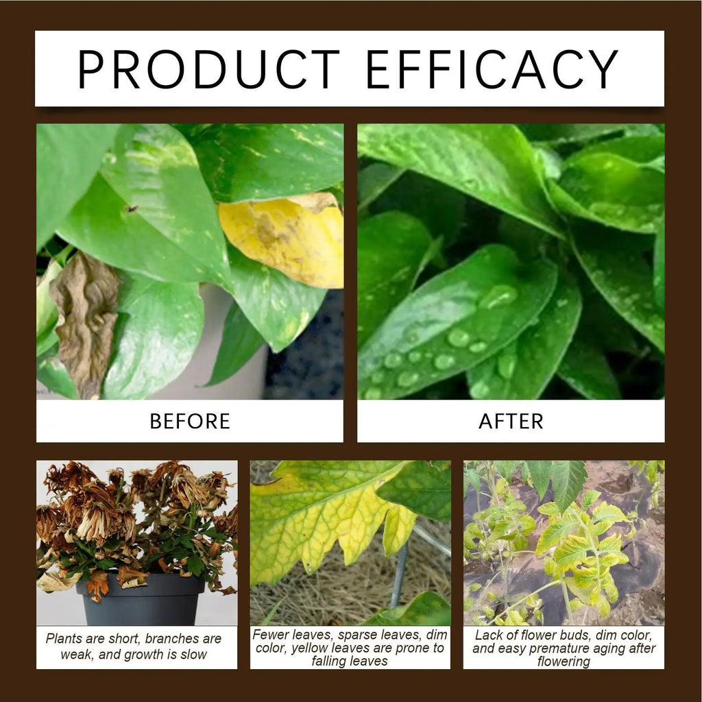 60G Organic Soil Activators And Plant Fertilizers Indoor Plant Fertilizers For Healthy Flowers And Soil Plants
