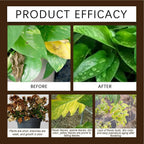 60G Organic Soil Activators And Plant Fertilizers Indoor Plant Fertilizers For Healthy Flowers And Soil Plants
