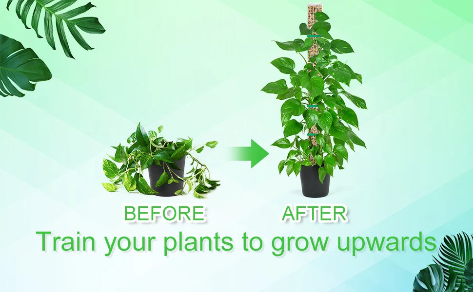 Plants Moss Pole Garden Subject Flower Plant Climbers Bonsai Accessories Pots Tutors ,for Planters Plants Growth Holder Support