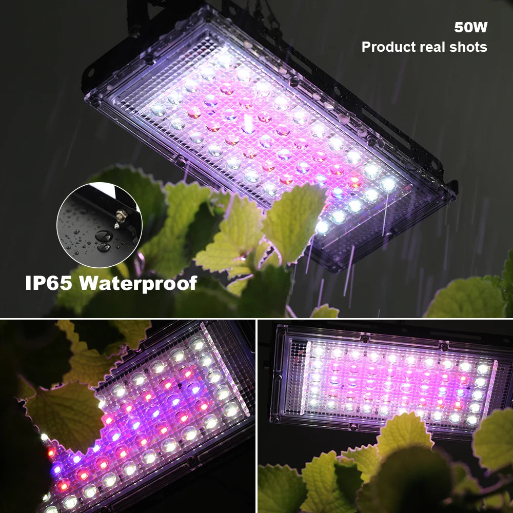 LED Grow Light Phytolamp For Plants USB 5V Sunlike Full Specturm Plant Lights Adjustable Brightness Floodlight Hydroponic IP65