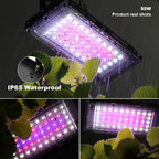 LED Grow Light Phytolamp For Plants USB 5V Sunlike Full Specturm Plant Lights Adjustable Brightness Floodlight Hydroponic IP65