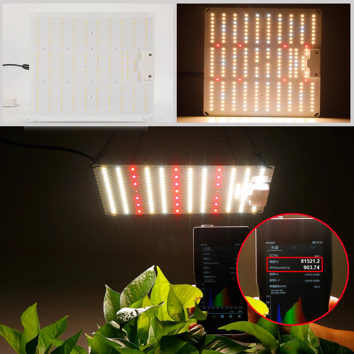 LED Grow Light 500W 600W 800W 1000W Diode Full Spectrum Silent Quantum Board Used for Greenhouse Tent Hydroponic Plant