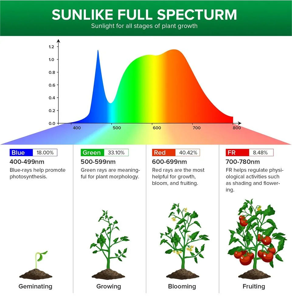 LED Grow Light Phytolamp For Plants USB 5V Sunlike Full Specturm Plant Lights Adjustable Brightness Floodlight Hydroponic IP65