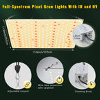 LED Grow Light 500W 600W 800W 1000W Diode Full Spectrum Silent Quantum Board Used for Greenhouse Tent Hydroponic Plant