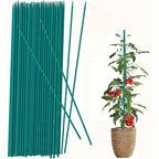 10-Piece Plastic Plant Support Stakes for Indoor Gardening