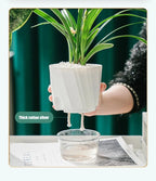 Clear Watering Pot Automatic Watering Planter Lazy Planter pot self Watering Container Lazy Flower Pot White Fully Transparent