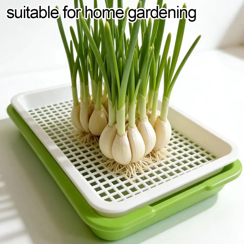 Hydroponic Microgreens Sprouter Tray Seed Sprouting Plates Wheatgrass Grower Nursery Trays for Home Garden Soilless System