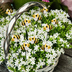Bee Garden Stakes, 10/20/30-Piece Decorative Yard Set