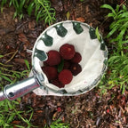 3-in-1 Fruit Harvesting Tool Set for Berry Picking with Telescopic Pole and Collection Bag Gardening Supplies