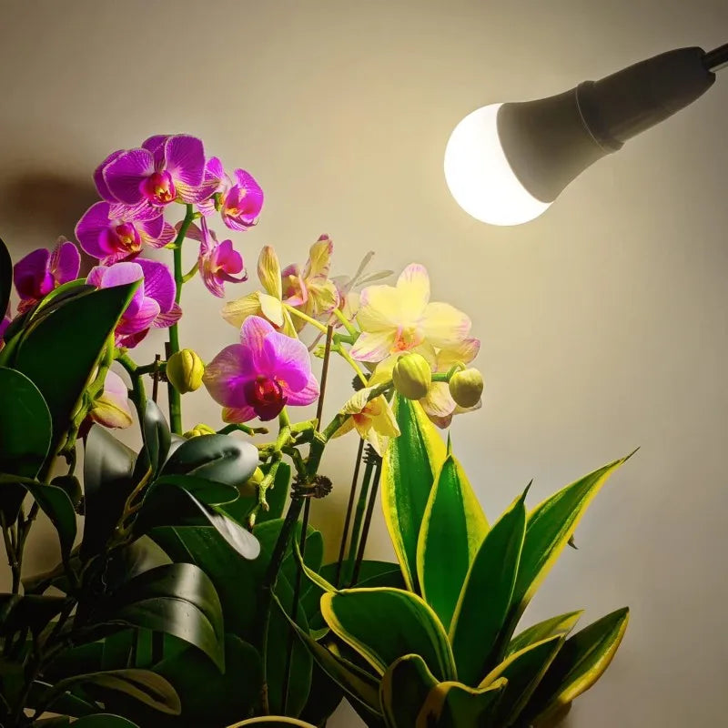 2pcs Full Spectrum Grow Light A19 Bulb 11W E26 Grow Lights for Indoor Plants Flowers Greenhouse Indore Garden Hydroponic Lamp