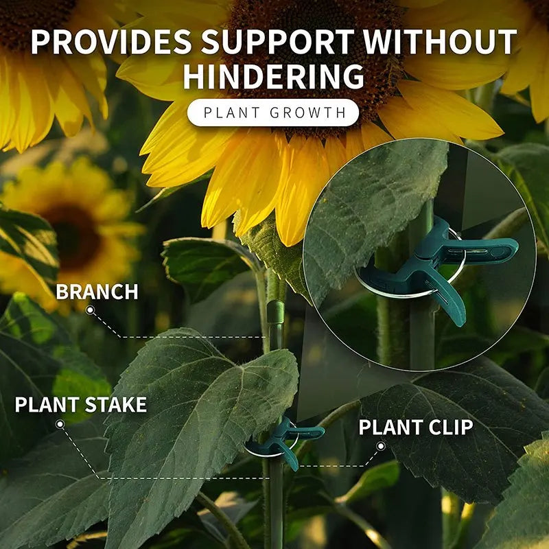 20Pcs Plant Fixed Clips Reusable Garden  Greenhouse Bracket for Fixed Plants Vine Flower  Seedling Stem Suppor t Garden Supplies