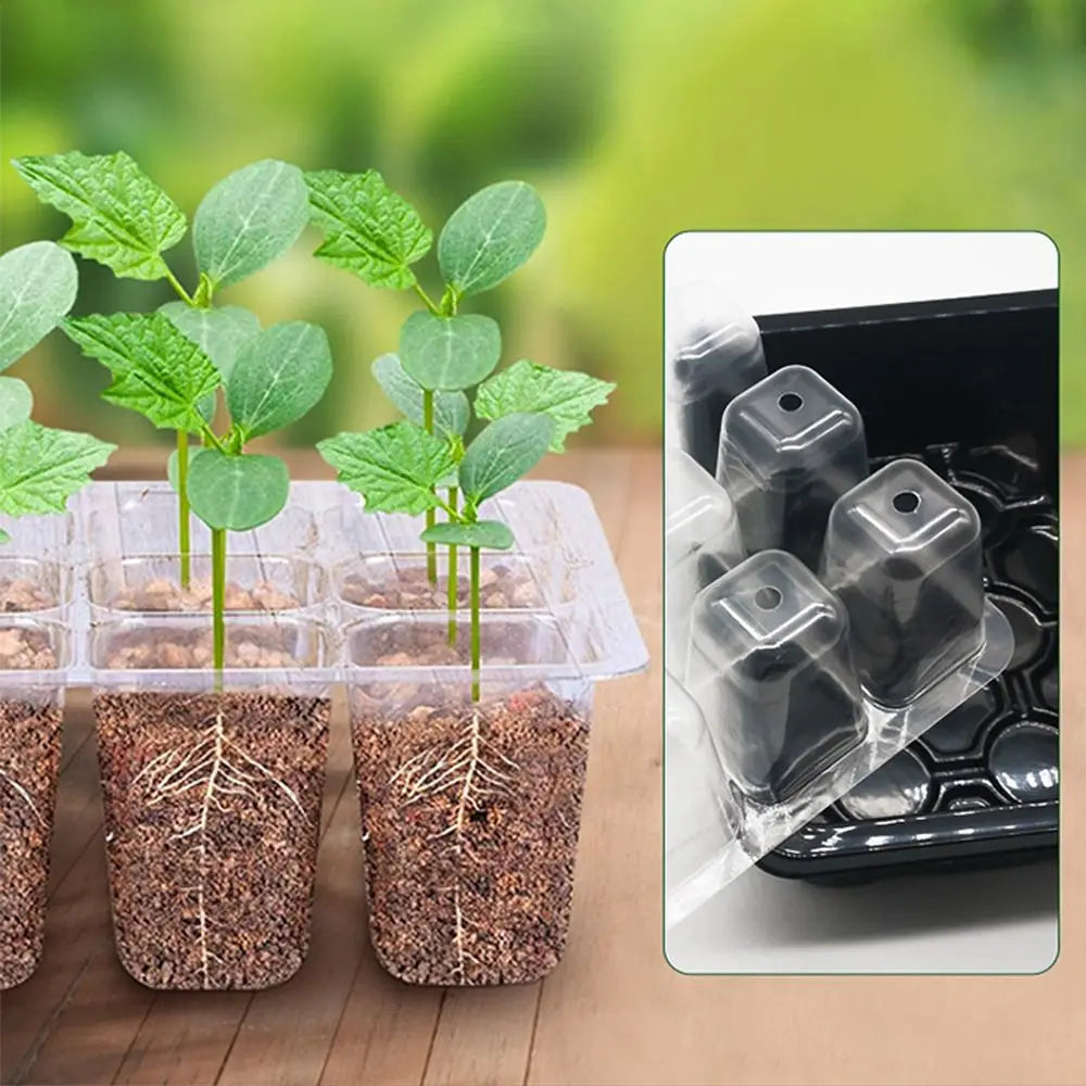 6/12Grids Seed Starter Tray with Ventilation Hole Seeds Growing Cultivation Planting Box Mini Greenhouse Plant Starter Kit