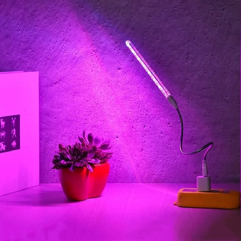 Portable USB LED grow light bar with a flexible neck, emitting a vibrant pink-purple spectrum over a small potted succulent.