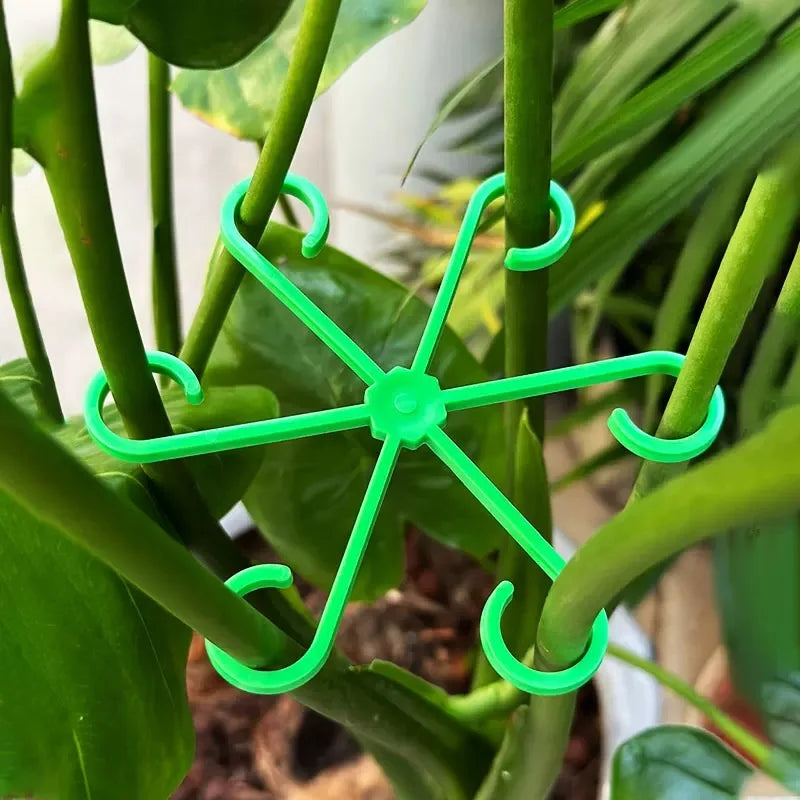 Plant Stem Support Stakes, 4-Piece Indoor Plant Supports