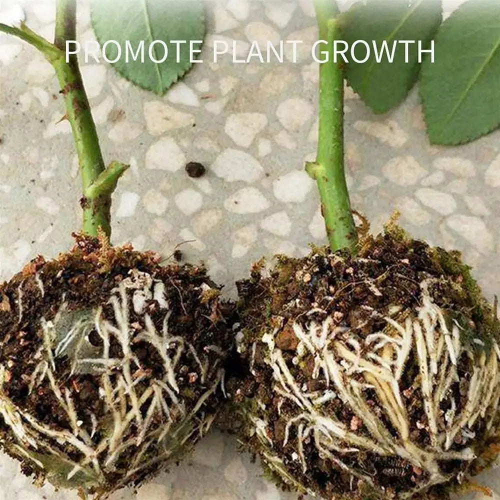 Propagation Ball Air Layering Pods Grafting Case For Fruit Tree Potting Substrate Care Indoor Gardening Aquaponics Hydroponics