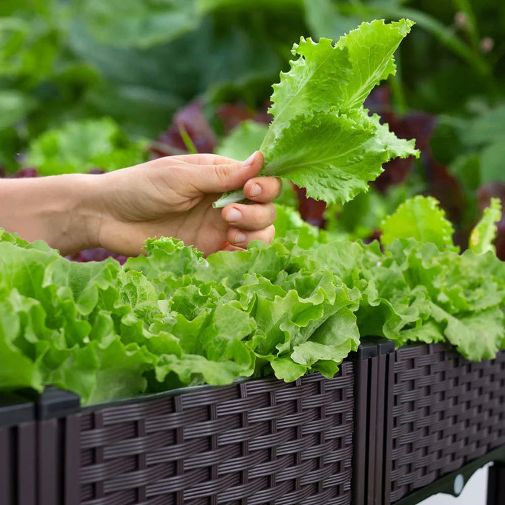 Elevated Raised Garden Bed with Legs Plastic Planter Box with Drainage Holes for Flowers Herbs Gardening Balcony Vegetable Pot