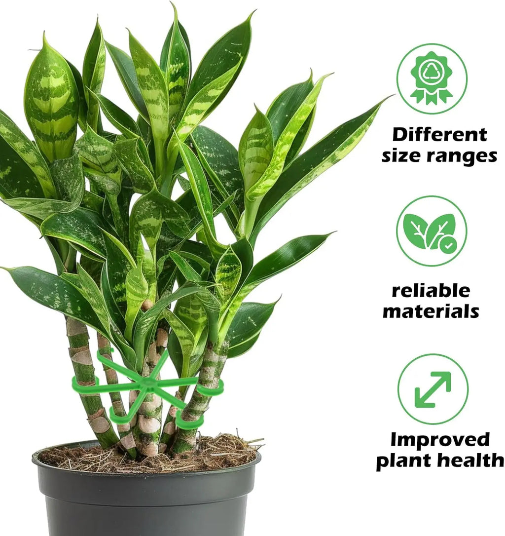 Plant Stem Support Stakes, 4-Piece Indoor Plant Supports