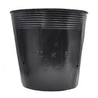 50/100Pcs Plastic Seedlings Starter Pot Black Flexible Plastic Seedling Pots for Starting Seedlings Succulents Seedling Bag