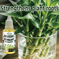 Plant Rooting Promoter Germination Kit｜Nourishes Seedlings and Strengthens Roots, Promotes Plant Germination, Improves Yellowing of Leaves, Accelerates Rapid Rooting, Enhances Root Vitality, Reduces Transplant Stress, Suita