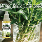 Plant Rooting Promoter Germination Kit｜Nourishes Seedlings and Strengthens Roots, Promotes Plant Germination, Improves Yellowing of Leaves, Accelerates Rapid Rooting, Enhances Root Vitality, Reduces Transplant Stress, Suita