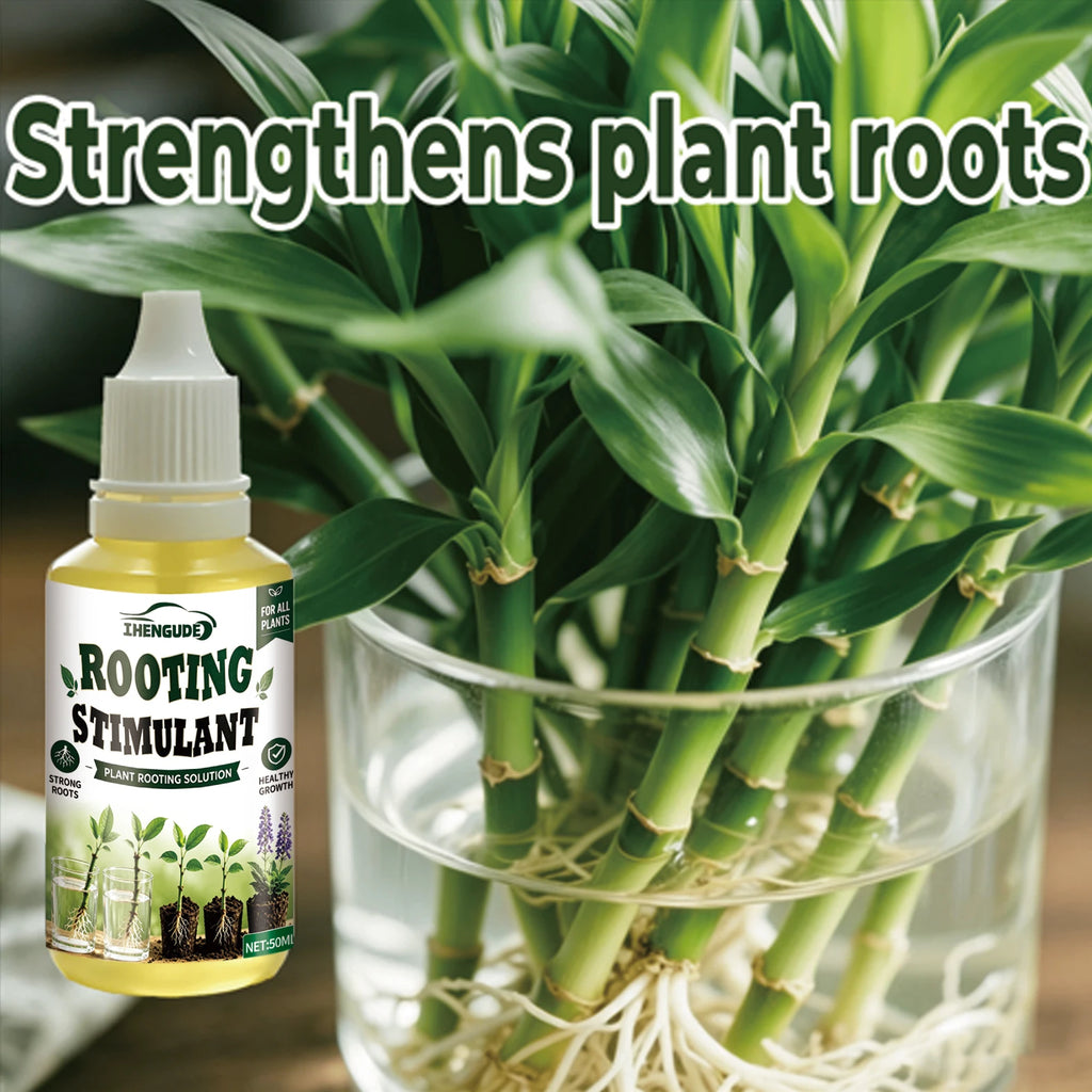 Plant Rooting Promoter Germination Kit｜Nourishes Seedlings and Strengthens Roots, Promotes Plant Germination, Improves Yellowing of Leaves, Accelerates Rapid Rooting, Enhances Root Vitality, Reduces Transplant Stress, Suita