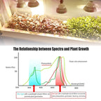 LED Plant Supplementary Light E27 Greenhouse Seedling 85-265V Grow Lamp And Succulent Light Bulb Full Spectrum Imitation Of Sun