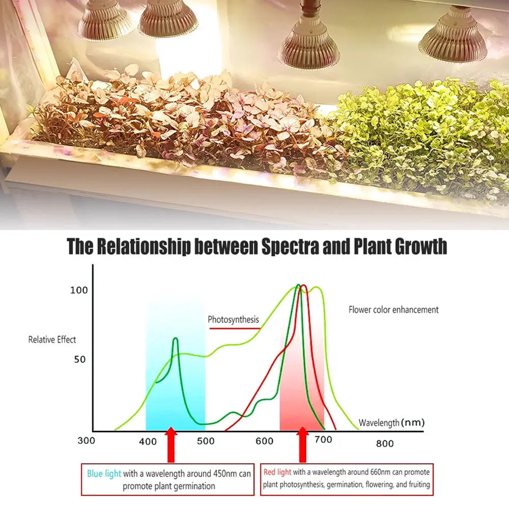 LED Plant Supplementary Light E27 Greenhouse Seedling 85-265V Grow Lamp And Succulent Light Bulb Full Spectrum Imitation Of Sun