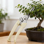 Pruning Shears Gardening Tools Professional Pruner Garden Manual Scissors Supplies Bonsai Tree Trimming Accessories Hand Tool