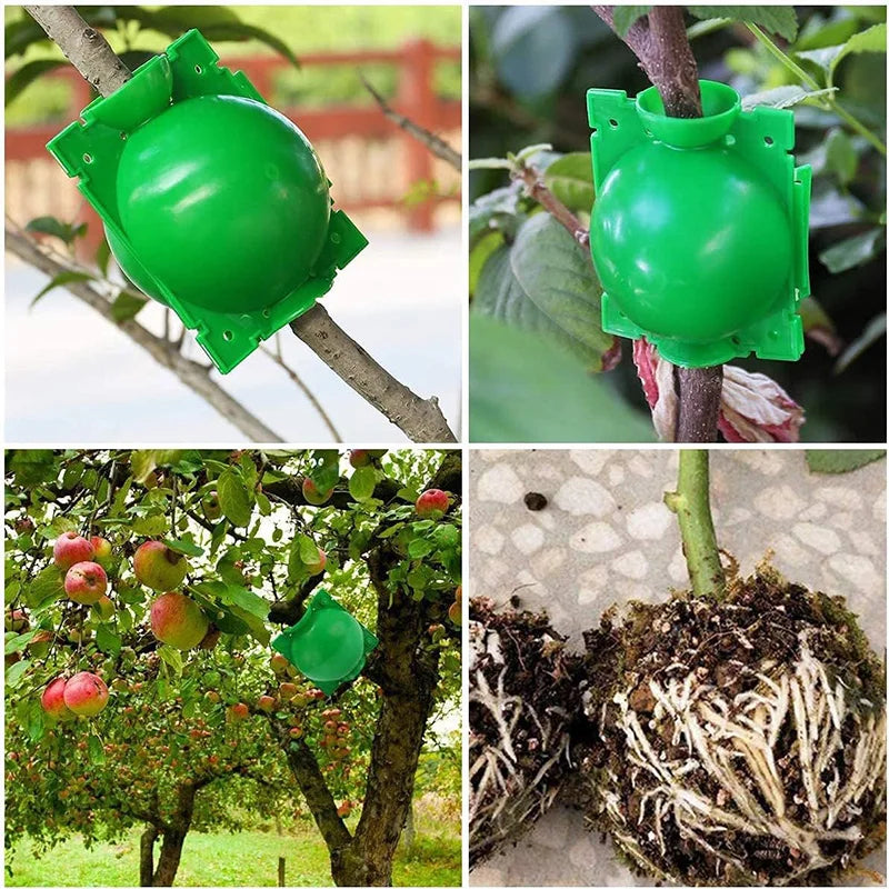 Plant Rooting Ball Gardening Supplies High Pressure Propagation Root Growing Box Cutting Grafting Ball Breeding Equipment TMZ
