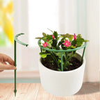 Plastic Plant Support Stakes for Flowers and Greenhouses