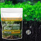 100g Plant Fertilizer Powder Plant Growth Nutrient Fertilizer Safe and Effective Rooting Supplement for Soil Culture Hydroponics