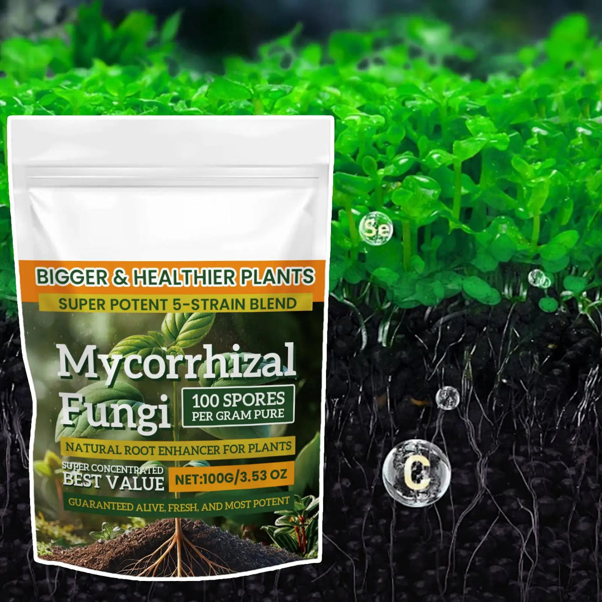100g Plant Fertilizer Powder Plant Growth Nutrient Fertilizer Safe and Effective Rooting Supplement for Soil Culture Hydroponics