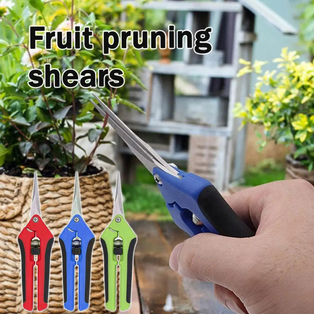 Fruit Picking Pruning Shears, Heavy-Duty Pruning Scissors, Garden Fruit Picking Shears, Specialized Grape Pruning Scissor