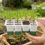 Reusable Seed Starter Trays Kit Silicone Seedling Trays For Plant Seeds Germination Tray Indoor Gardening Seedling Starter Pot