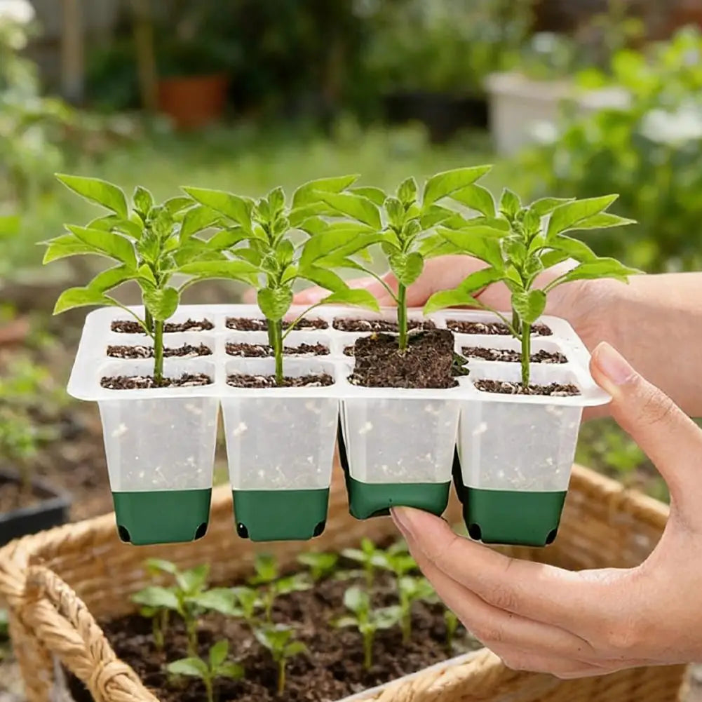Reusable Seed Starter Trays Kit Silicone Seedling Trays For Plant Seeds Germination Tray Indoor Gardening Seedling Starter Pot