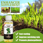 Rapid Plant Rooting Liquid Hormone Fast Propagation Solution Promote Strong Root Growth Fertilizer for Indoor Houseplants Care
