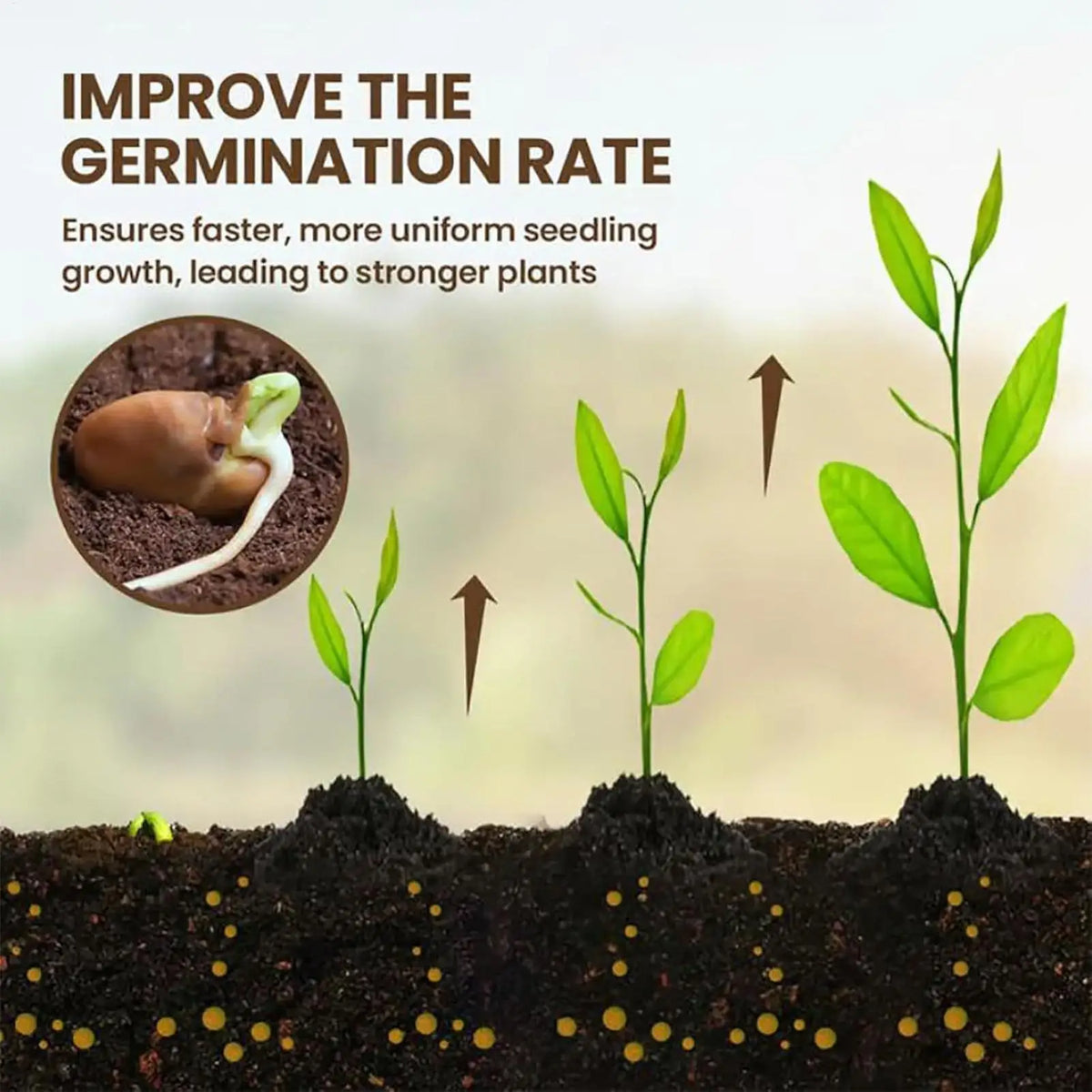 60G Organic Soil Activators And Plant Fertilizers Indoor Plant Fertilizers For Healthy Flowers And Soil Plants