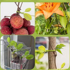 10pcs Plant Stabilizer Reusable Garden Zip Ties, Plant and Shrub Support, Fixed Straps, Adjustable Zipper, Cable Ties