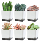 5Pcs Plant Pots, Self Watering Flower Pots Indoor Outdoor, Self Watering Planters with Drainage Hole & Clear Saucer Reservoir