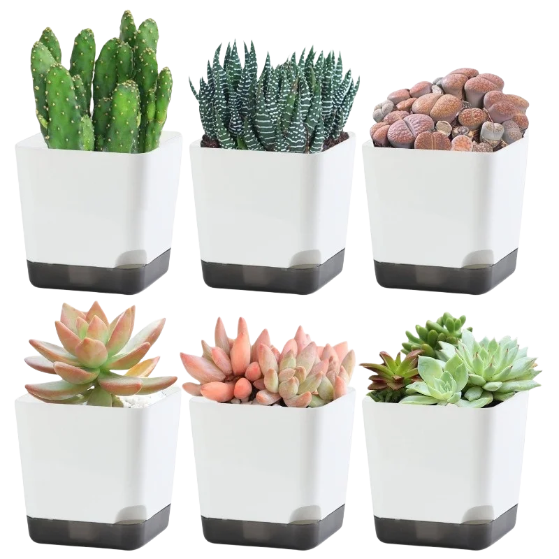 5Pcs Plant Pots, Self Watering Flower Pots Indoor Outdoor, Self Watering Planters with Drainage Hole & Clear Saucer Reservoir