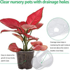 5pcs Home Garden Round Planter Pot Orchid Nursery Container Planter Container Transparent Orchid Container Round Starting Pot