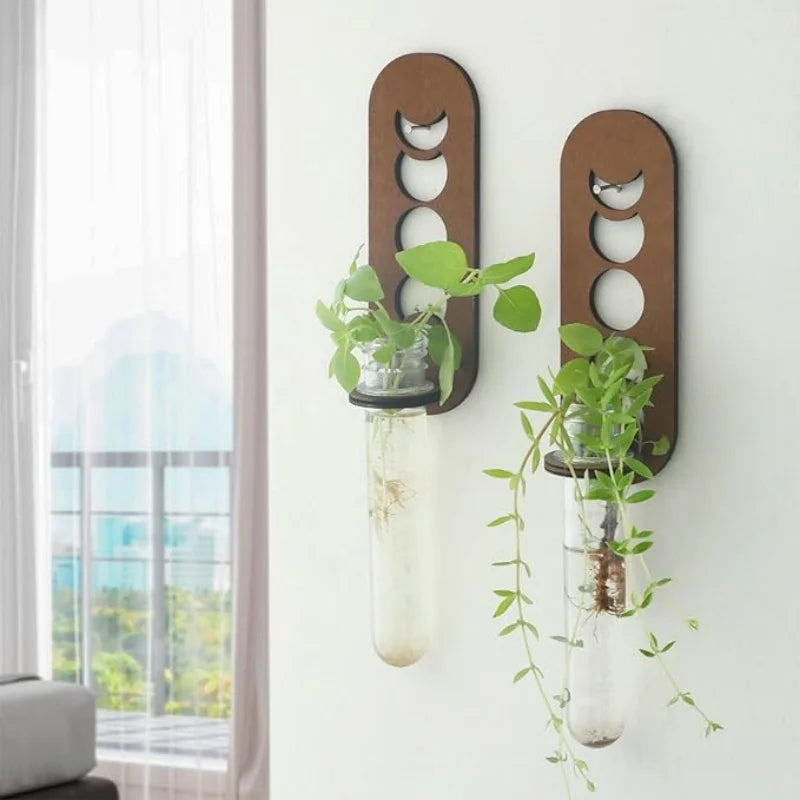 Plant Propagation Station Wall Hanging Wooden Moon Phase Plant Terrarium for Hydroponics Home Office Decor Air Plant Holder Gift