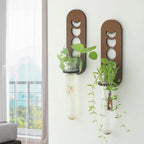 Plant Propagation Station Wall Hanging Wooden Moon Phase Plant Terrarium for Hydroponics Home Office Decor Air Plant Holder Gift